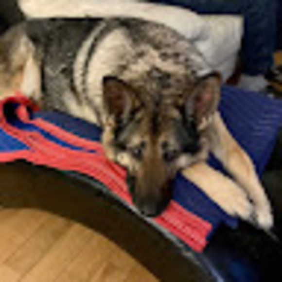 Meet your Posher, Megan - Picture 1 of 1